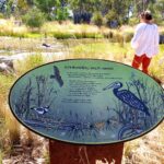 Cath and the wetlands