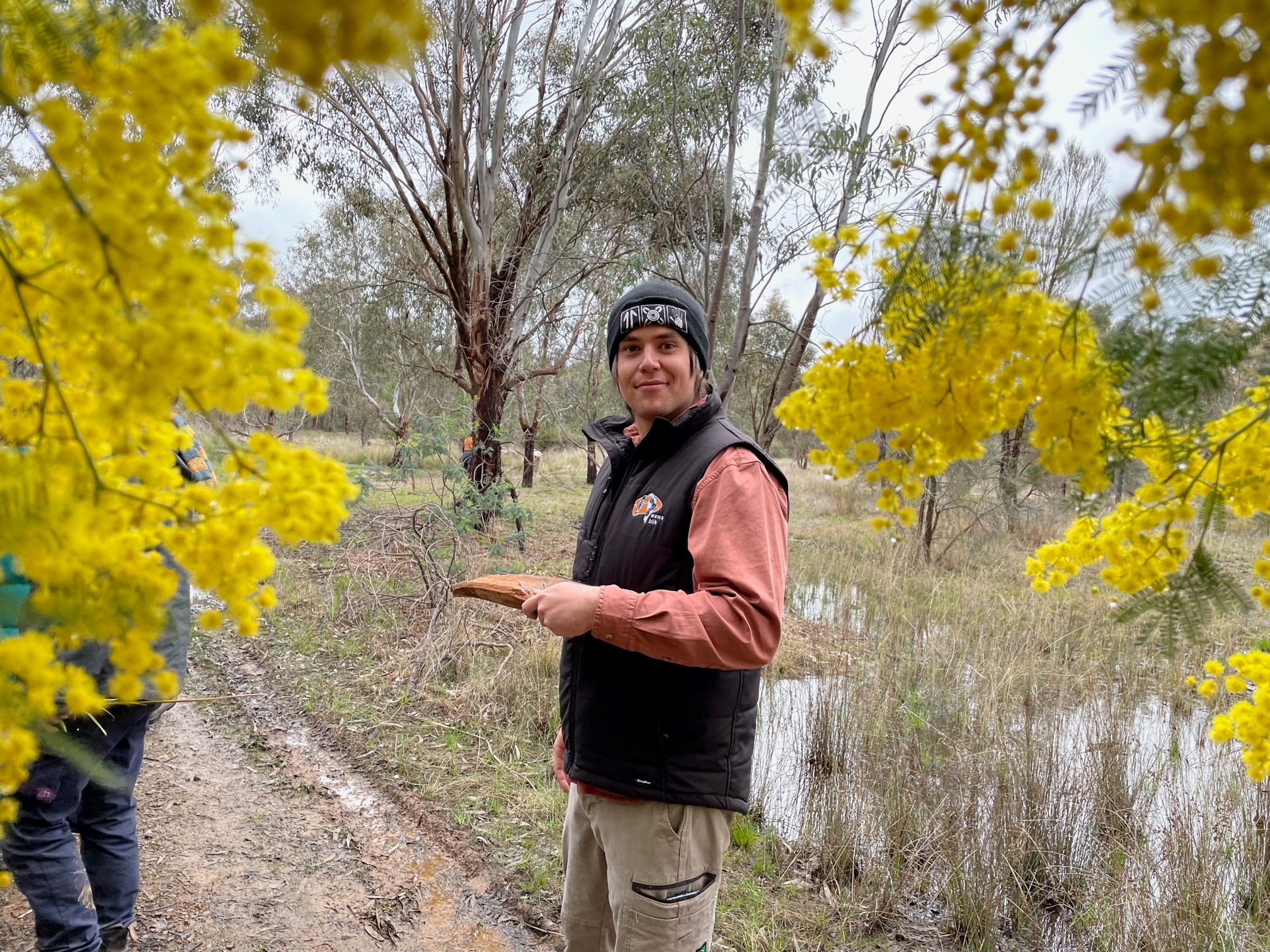 Jonah in the wattle