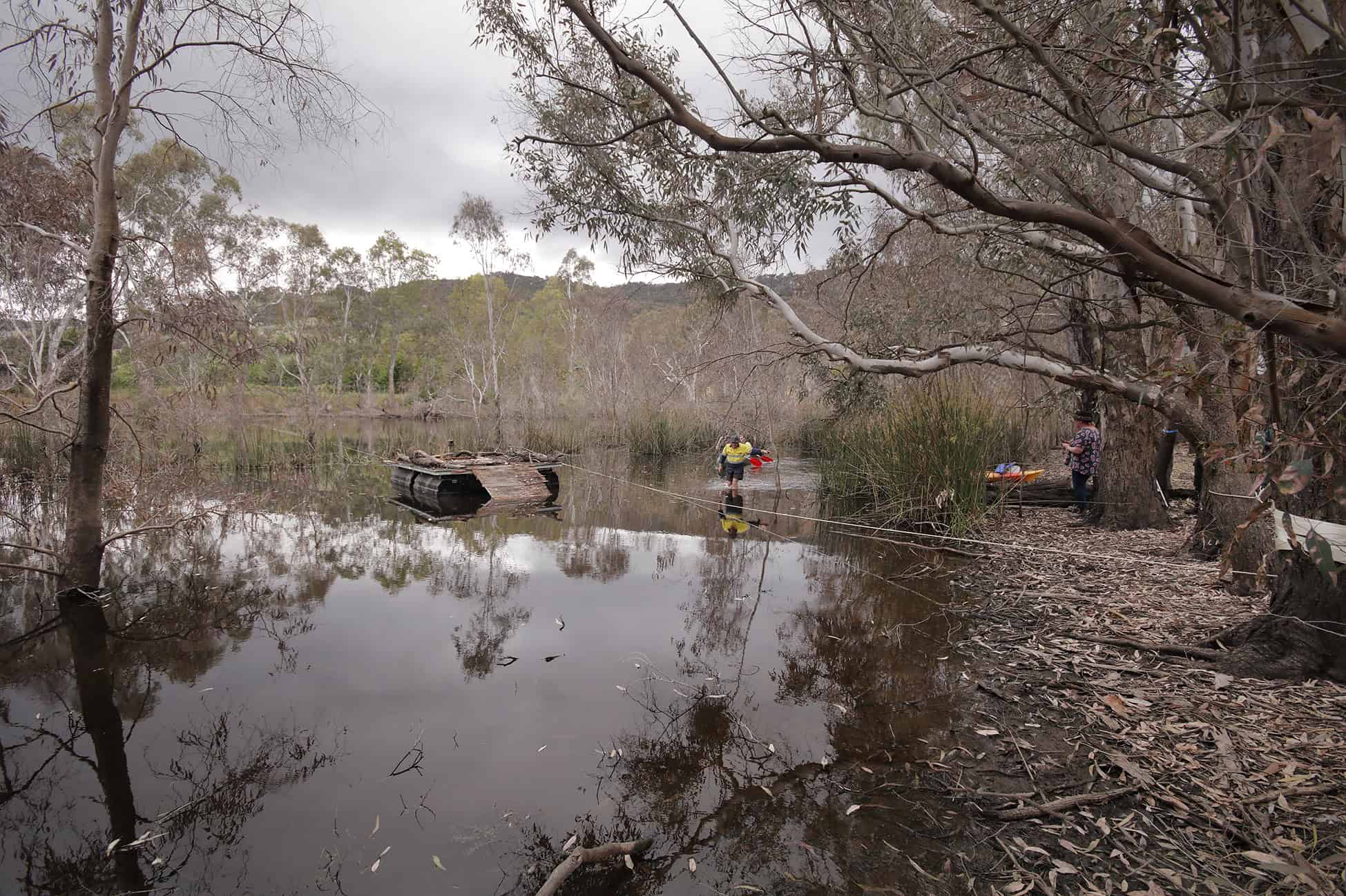 Setting up a turtle island on Taungurung Country
